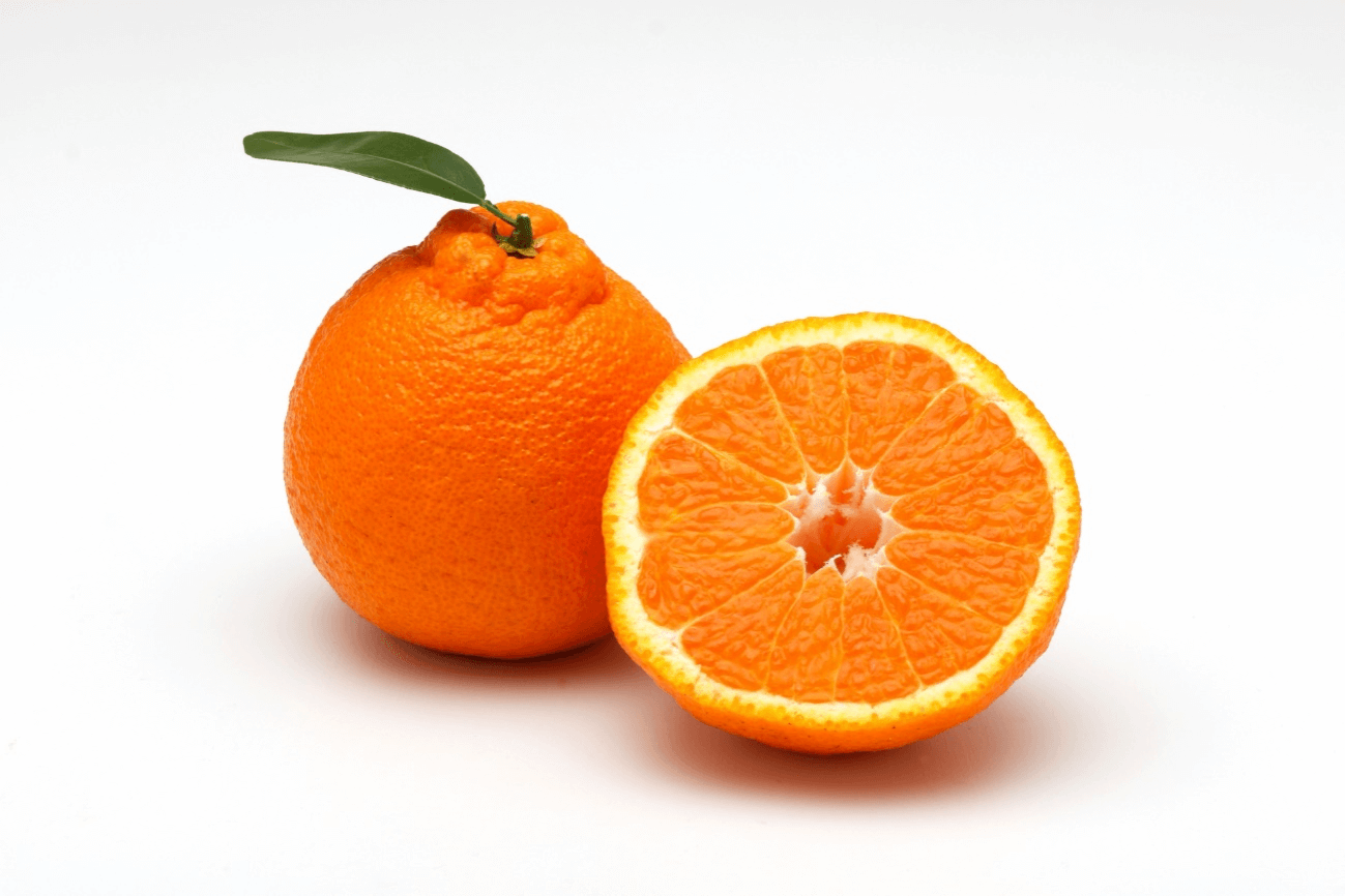 かごしまDEKO（不知火） | みかん通販の江崎果樹園